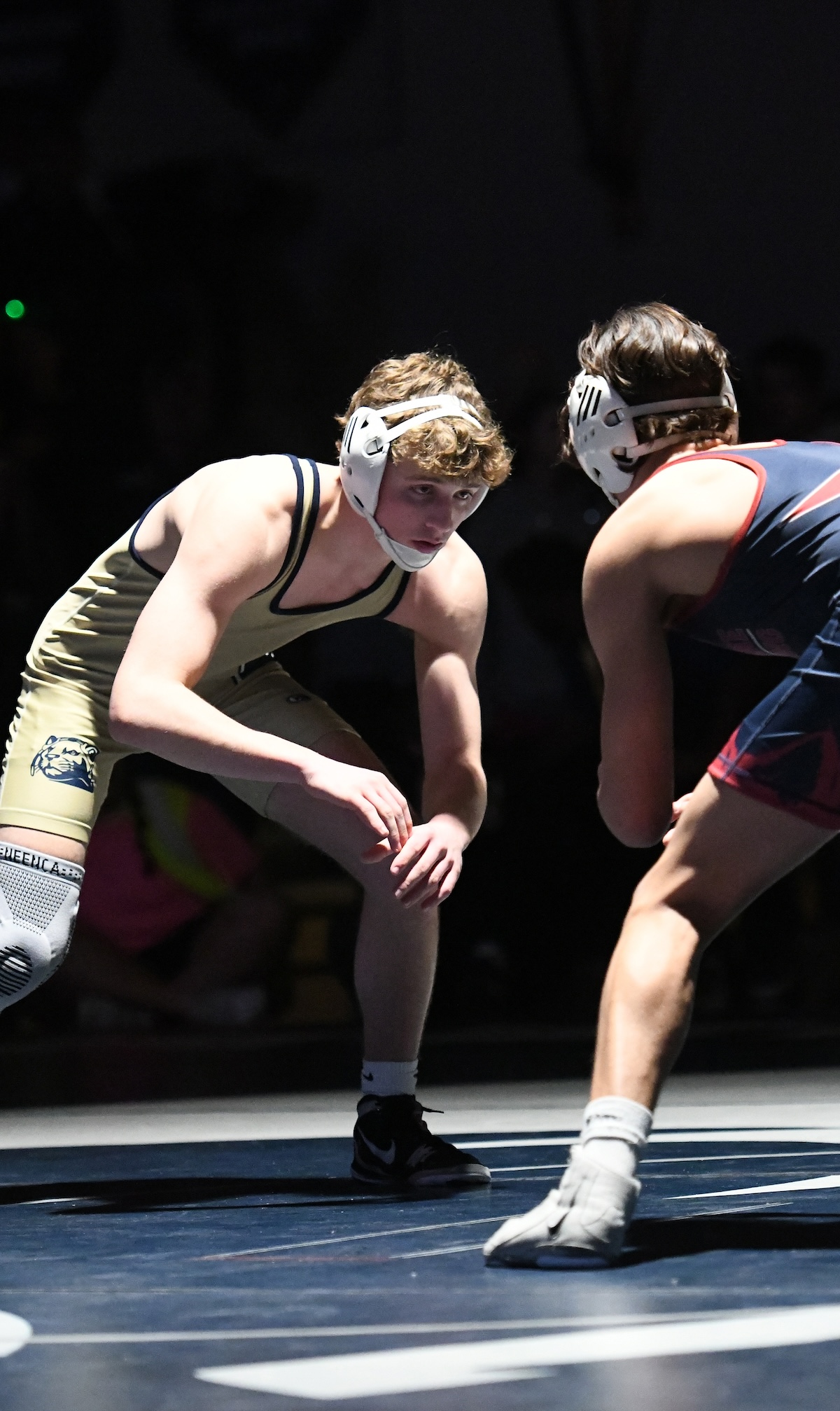 Nolan Lofstedt photo