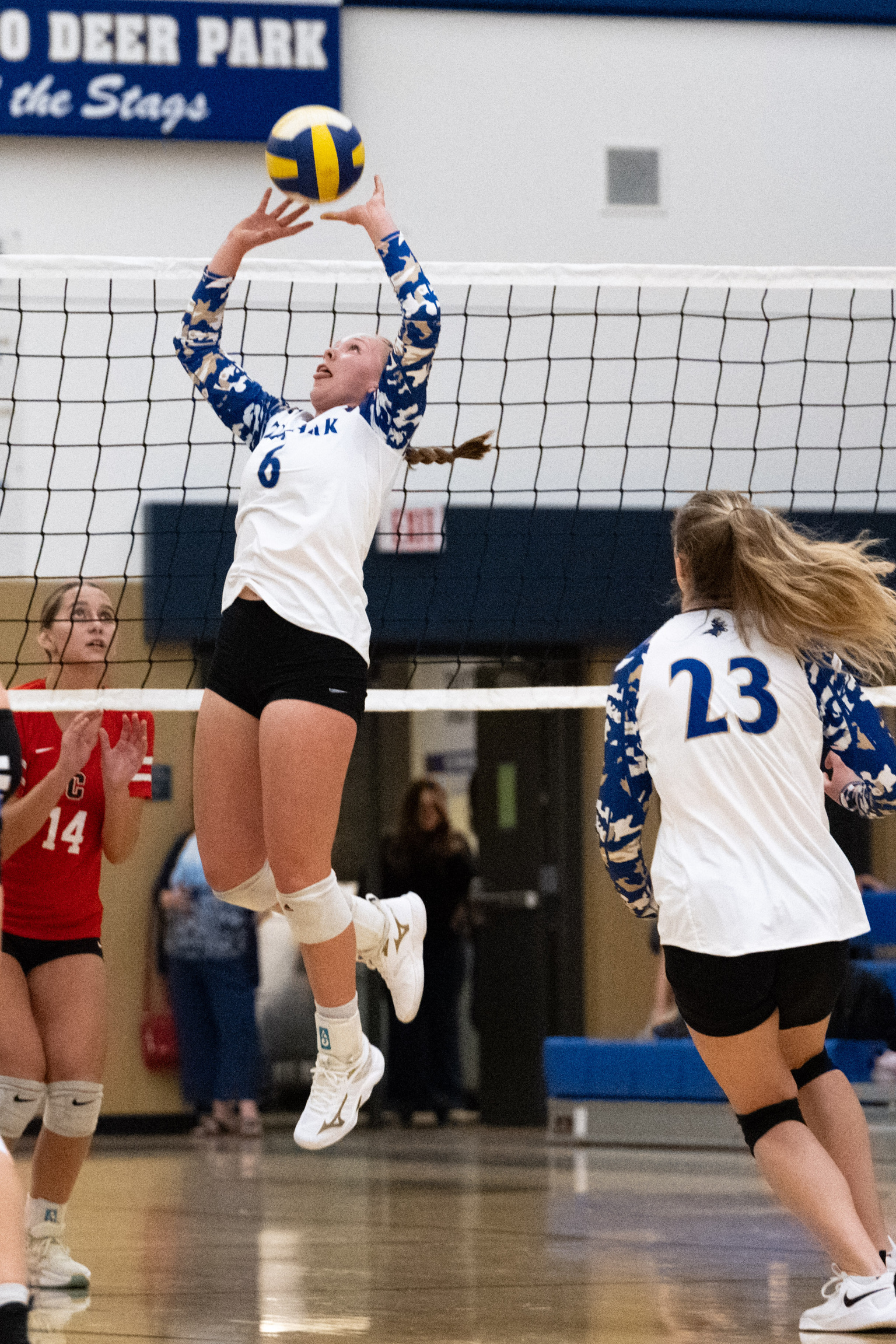 Jacey Boesel photo