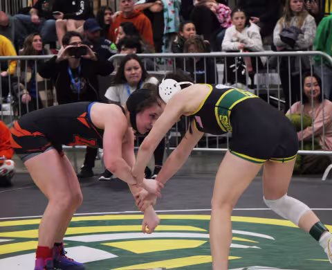 2026 Girls Wrestling Championship Lewis & Clark, Rogers