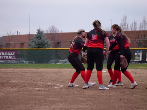 Lewis & Clark Fastpitch Softball Team 