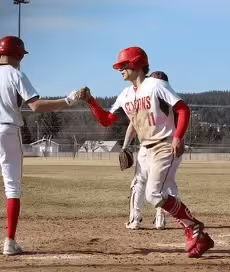 Ferris Baseball