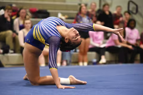 Dezlyn Lundquist