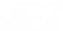 NECA 