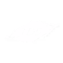 TDS 